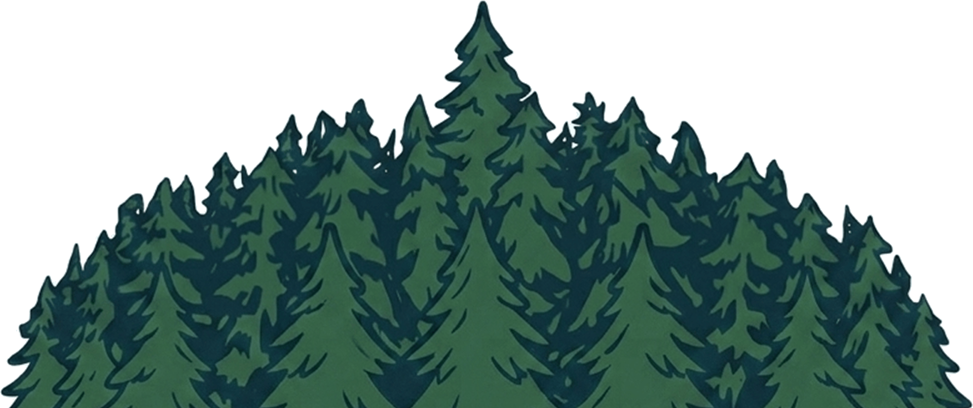 A serene forest scene